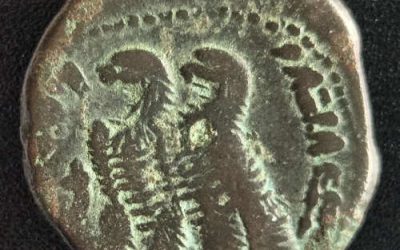 Ptolemy VI 180-145 BC Greek Alexandria 9.04gm Bronze Diobol