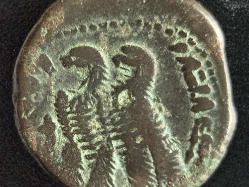 Ptolemy VI 180-145 BC Greek Alexandria 9.04gm Bronze Diobol