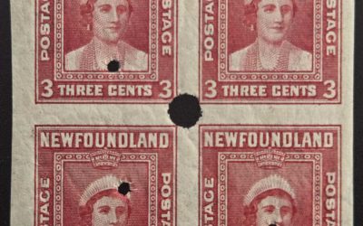 Newfoundland #255vi VF 3 NH 3c Security Punched Imperf Blk