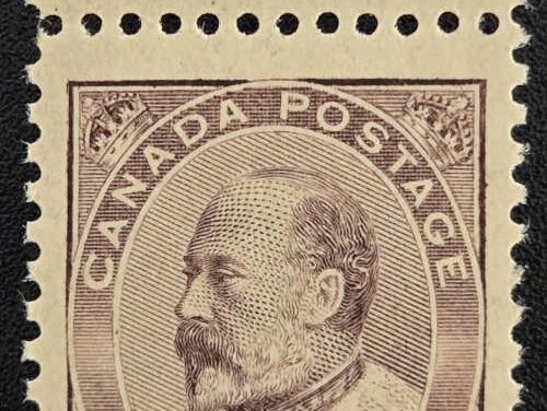 Canada #93 F/VF Never Hinged 1903 10c Edward VII