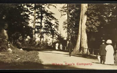 Where Two’s Company Unu Timms’ Bookmark Postcard