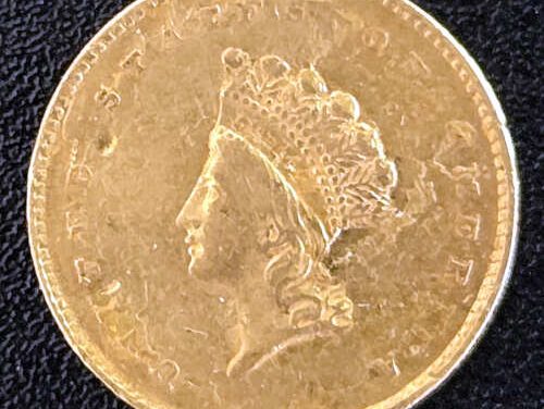 U.S.A. VF 1855 Princess Gold $1 .o4837oz AGW