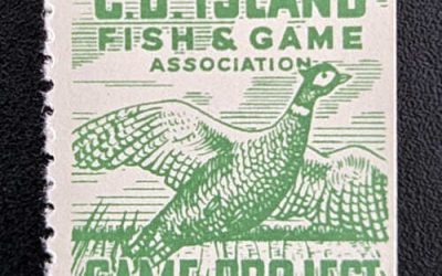 Cape Breton #NSG1 NH 1953 Fish and Game, natural se