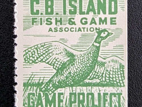 Cape Breton #NSG1 NH 1953 Fish and Game, natural se