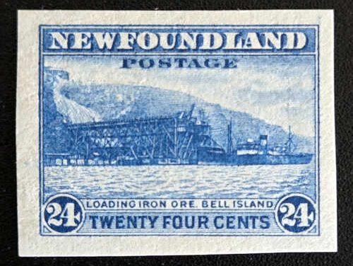 Newfoundland #210a VFNH 1932 24c Imperf single, extended frameline