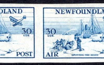 Newfoundland #C15a Remnant imperforate pair of the 1933 Labrador Airmail