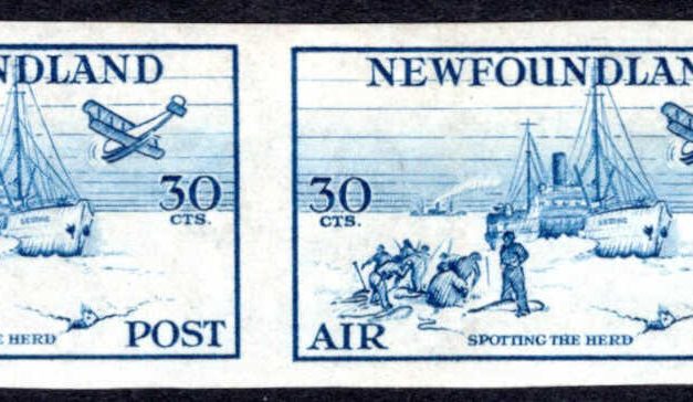 Newfoundland #C15a Remnant imperforate pair of the 1933 Labrador Airmail