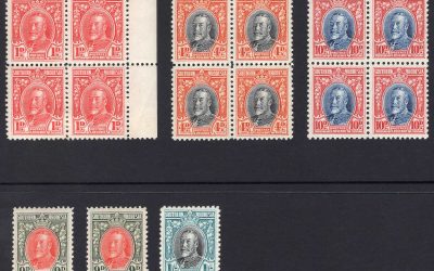 Southern Rhodesia #17/26 Mint group of blocks (3) and singles (3) from the 1931-1937 George V series