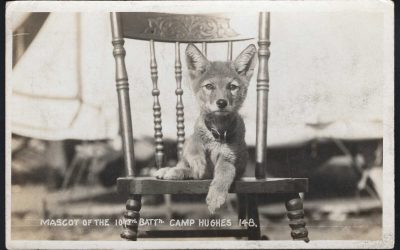 Canada WWI / Militia. Camp Hughes, Manitoba. Mascot of the 107th Battalion. Real Photo Postcard