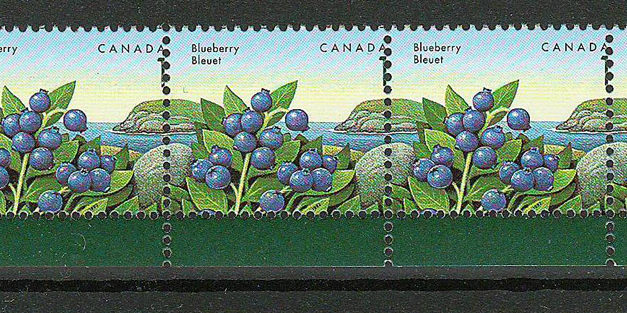 Canada #1349var VFNH unlisted 1992 1c Blueberry Printing Shift Strip
