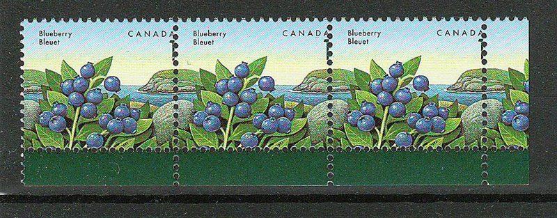 strip of blueberry stamps